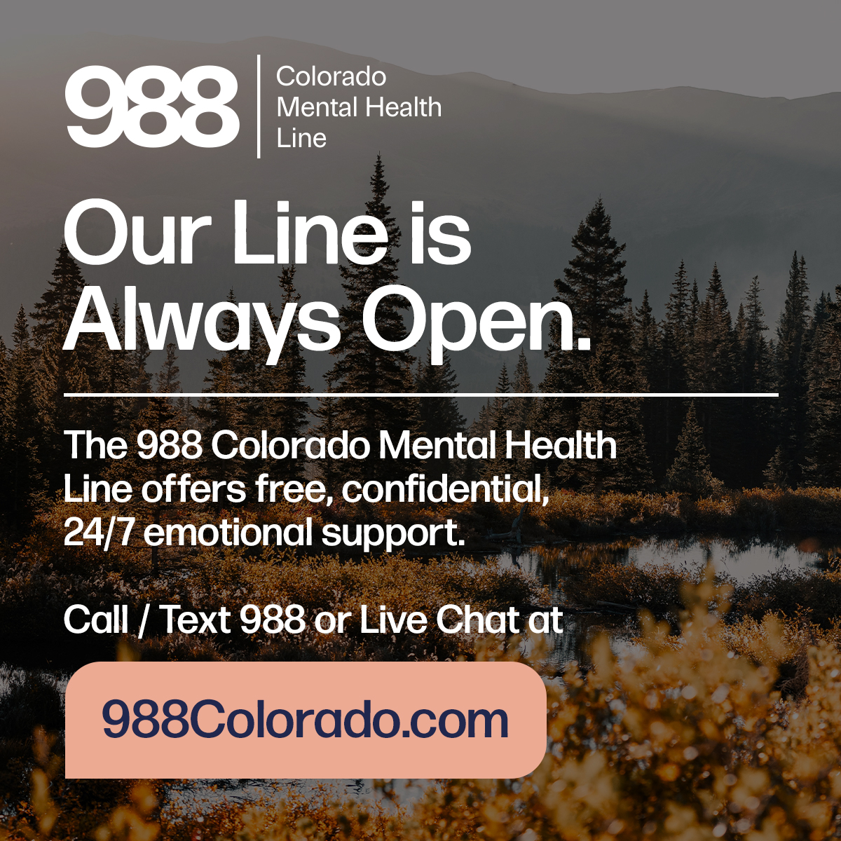 BADJ Initiative Resources