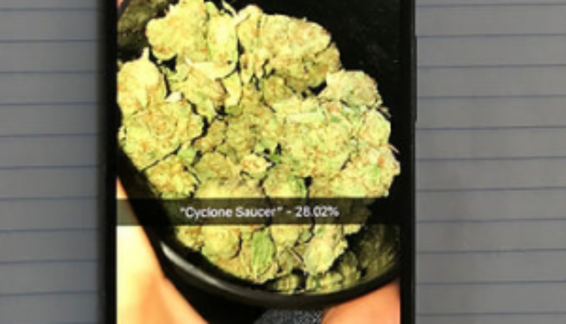 A phone that shows marijuana in a pot.